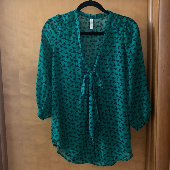 Green Sheer Button Down Tunic - Picture 1 of 3